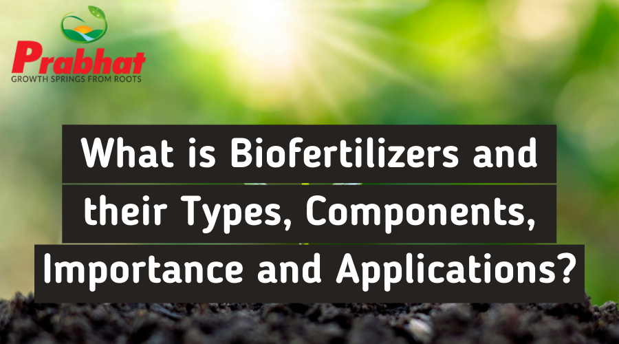 Biofertilizers - Complete Overview 2022 | Prabhat Fertilizer