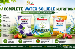 “Water Soluble Fertilizers: The Smart Choice for Modern Farming”