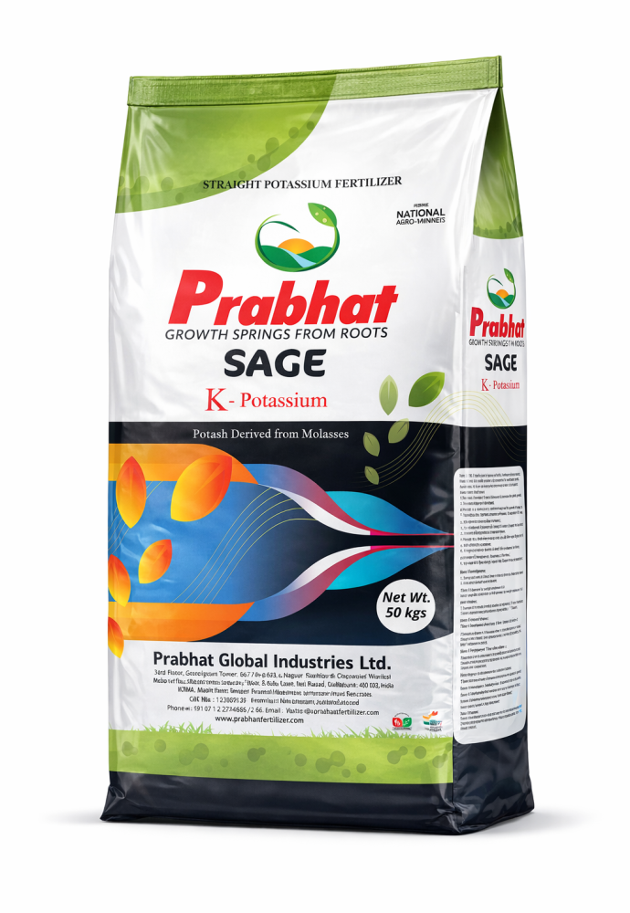 Sage